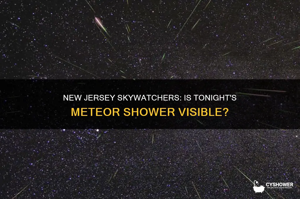 is meteor shower visible tonight in new jersey