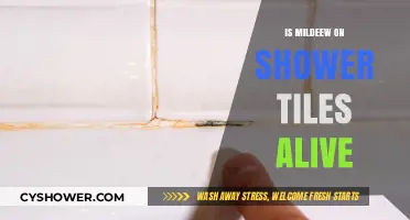 Is Shower Tile Mildew Alive? Understanding Mold Growth in Bathrooms