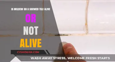 Is Shower Tile Mildew Alive? Uncovering the Truth Behind the Growth