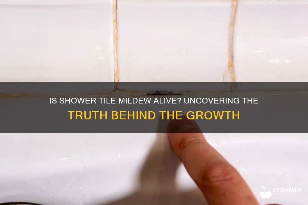 is mildew on a shower tile alive or not alive