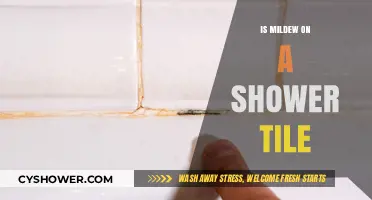 Mildew on Shower Tiles: Causes, Prevention, and Effective Cleaning Tips