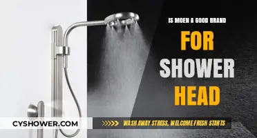Is Moen a Reliable Brand for Shower Heads? A Comprehensive Review