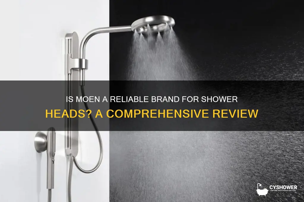 is moen a good brand for shower head