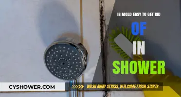 Effective Ways to Remove Mold from Your Shower Easily