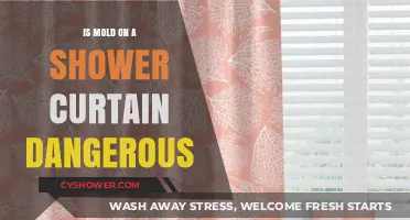 Is Mold on Your Shower Curtain a Health Hazard?