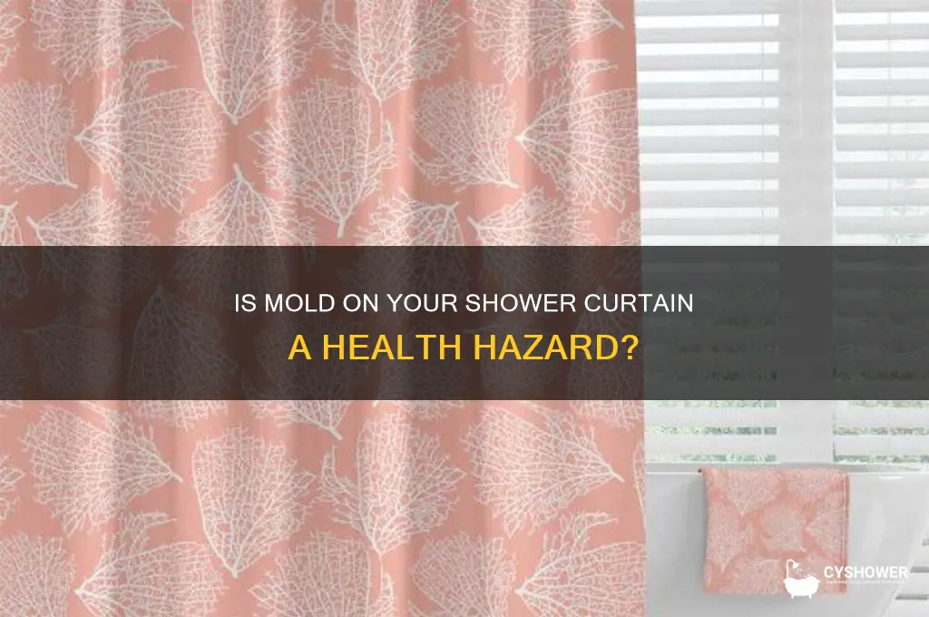 is mold on a shower curtain dangerous