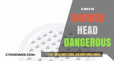 Is Mold on Your Shower Head a Health Hazard?
