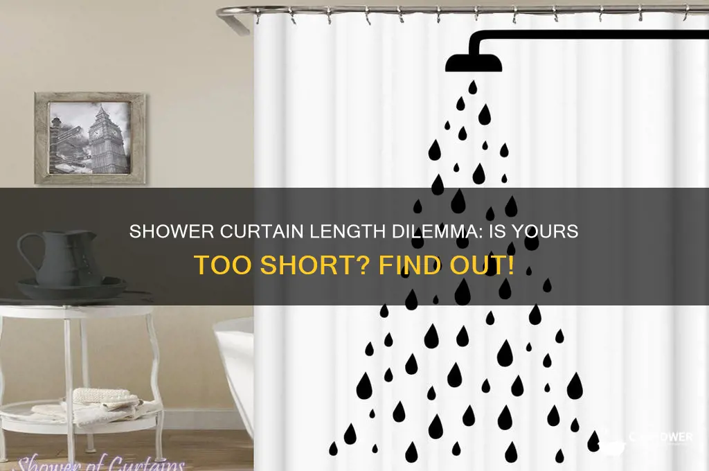 is my shower curtain too short