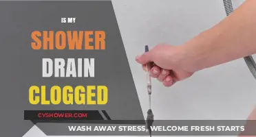 Is Your Shower Drain Clogged? Signs, Causes, and Quick Fixes