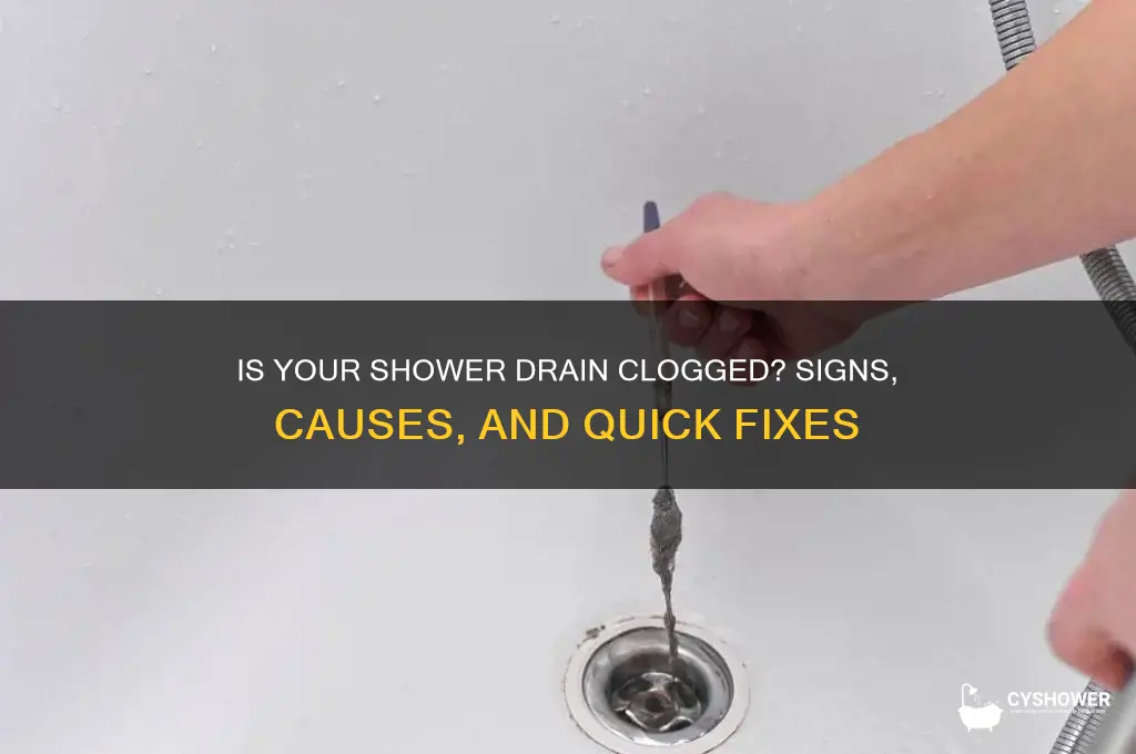is my shower drain clogged