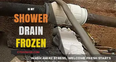 Is Your Shower Drain Frozen? Quick Fixes and Prevention Tips