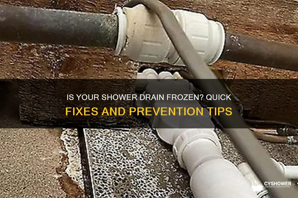 is my shower drain frozen