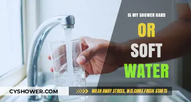 Hard or Soft Water? How to Test Your Shower's Water Type