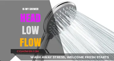 Is Your Shower Head Low Flow? How to Tell and What to Do