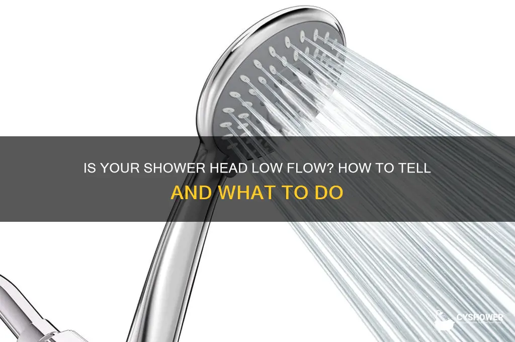 is my shower head low flow