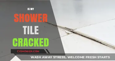 Is Your Shower Tile Cracked? Signs, Causes, and Quick Fixes