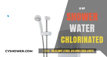 Is Your Shower Water Chlorinated? Discover the Truth and Solutions