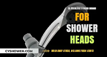 Peerless Shower Heads Review: Quality, Durability, and Performance Explored