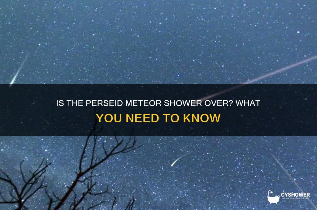 is perseid meteor shower over