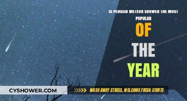 Perseid Meteor Shower: The Year's Most Popular Celestial Event?