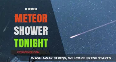 Perseid Meteor Shower Tonight: When and Where to Watch