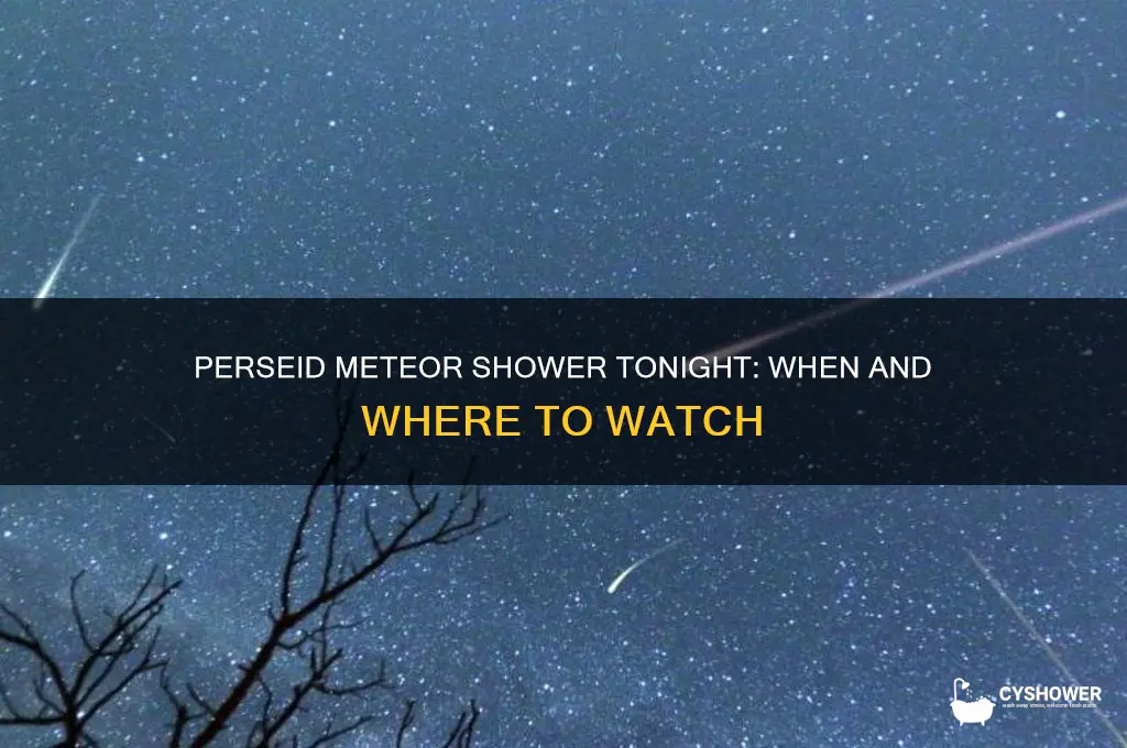 is perseid meteor shower tonight