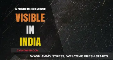 Perseid Meteor Shower 2023: Visibility and Best Viewing Tips in India