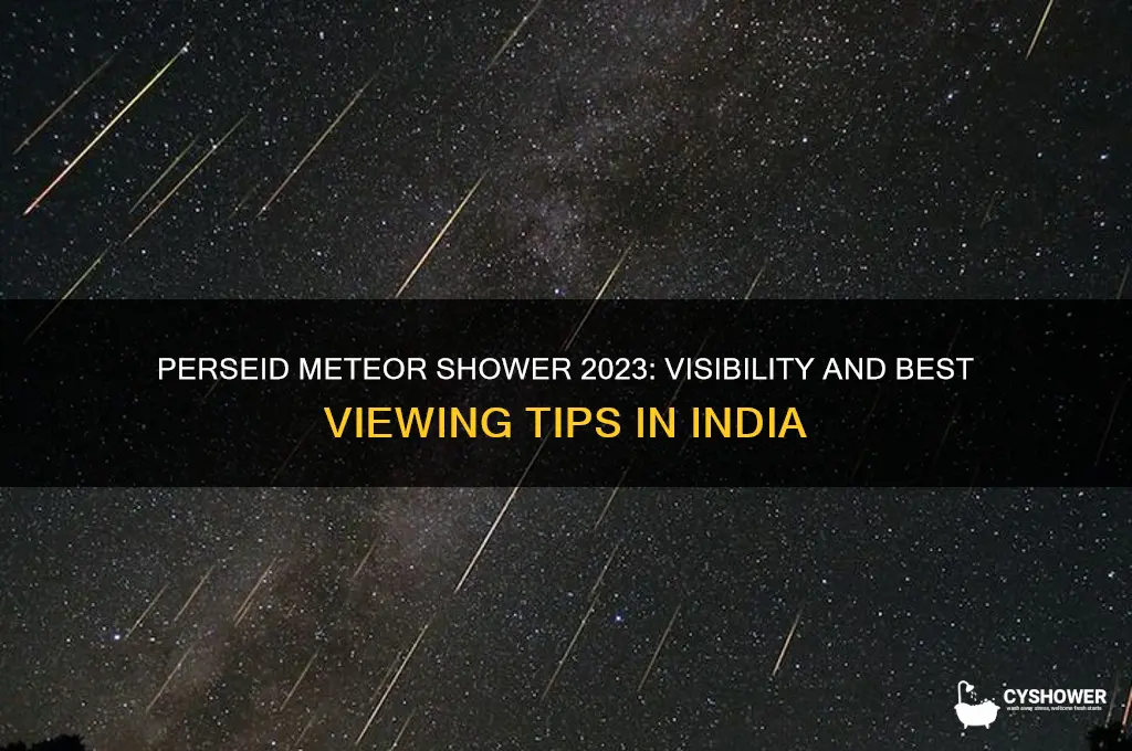 is perseid meteor shower visible in india