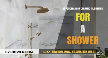 Porcelain vs. Ceramic Tiles: Which is Best for Shower Walls?