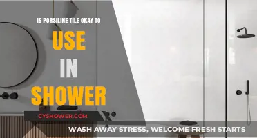 Is Porcelain Tile Shower-Safe? Pros, Cons, and Expert Advice