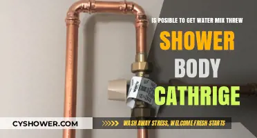 Can Water Mix Through a Shower Body Cartridge? Explained