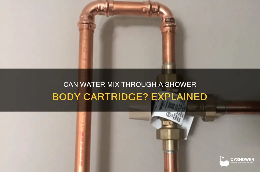 is posible to get water mix threw shower body cathrige