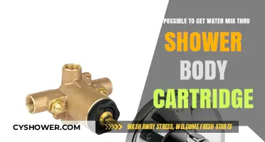 Can Water Mix Through a Shower Body Cartridge? Explained