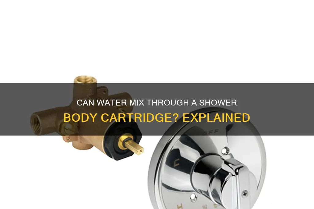 is possible to get water mix thru shower body cartridge