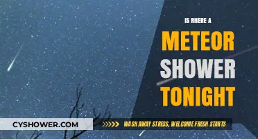 Meteor Shower Tonight: How and Where to Watch the Celestial Show