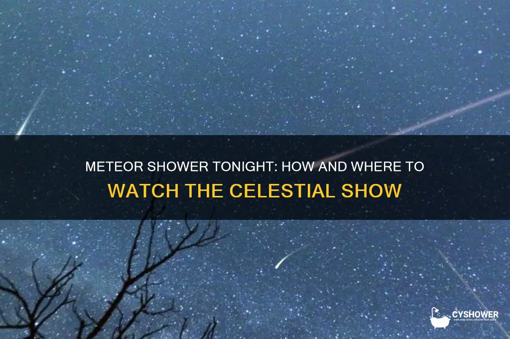 is rhere a meteor shower tonight