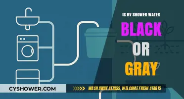 RV Shower Water: Understanding Black vs. Gray Tank Disposal