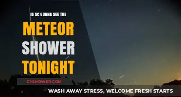 Will South Carolina Witness Tonight's Meteor Shower? Skywatching Tips