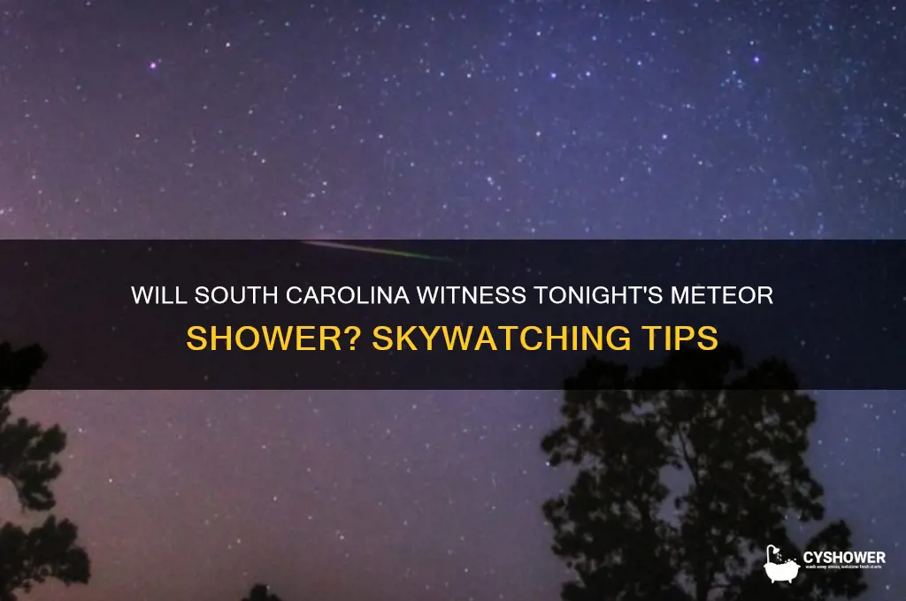 is sc gonna see the meteor shower tonight