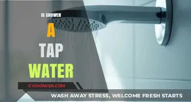 Is Shower Water Just Tap Water? Exploring the Source and Quality