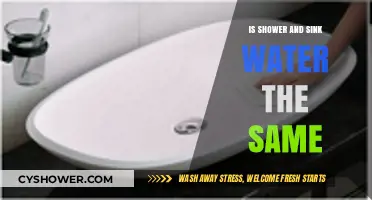 Shower vs. Sink Water: Are They the Same or Different?