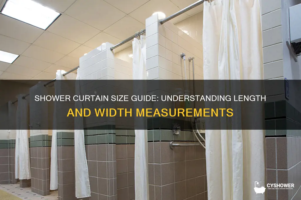 is shower curtain length by width