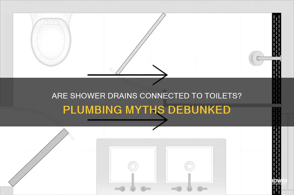is shower drain connected to toilet