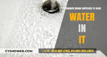 Is Standing Water in Your Shower Drain Normal or a Problem?