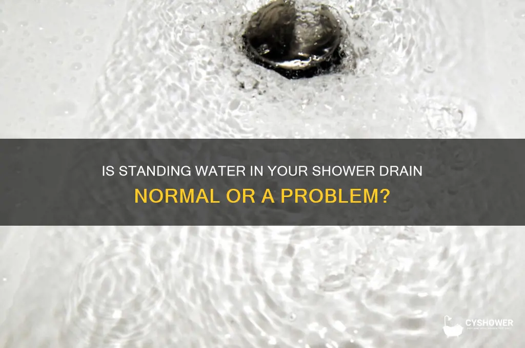 is shower drain supposed to have water in it