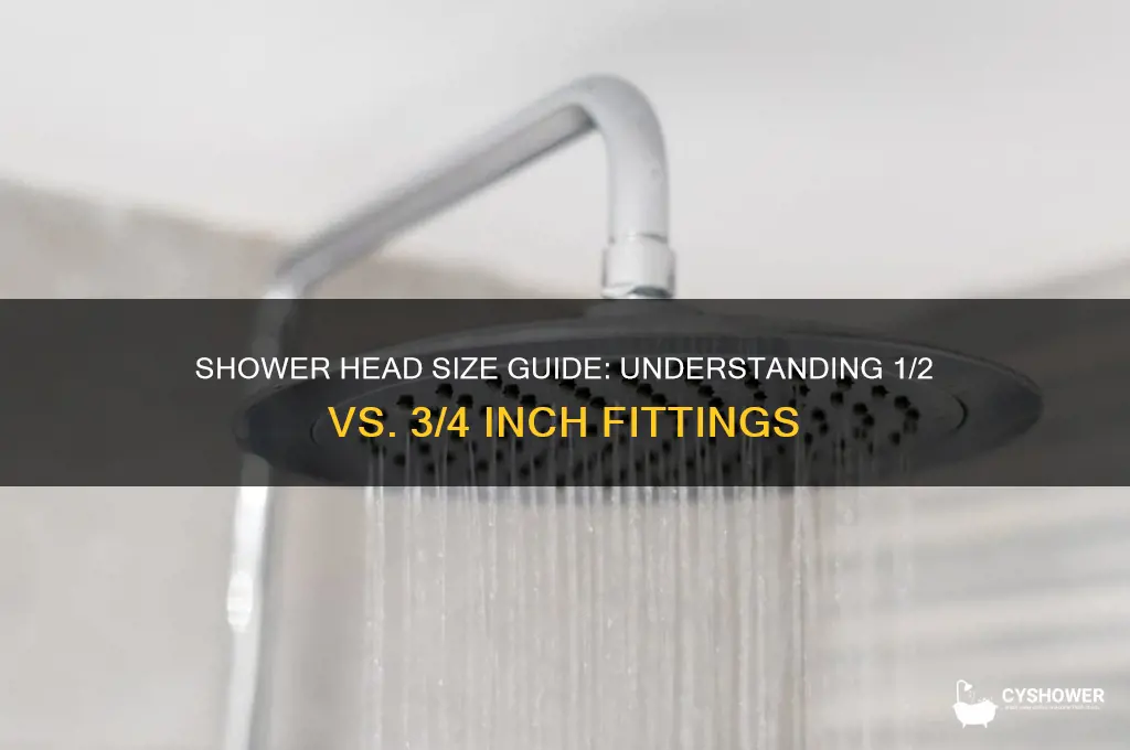 is shower head 1 2 or 3 4