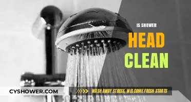 Is Your Shower Head Clean? Uncover Hidden Dangers and Easy Solutions