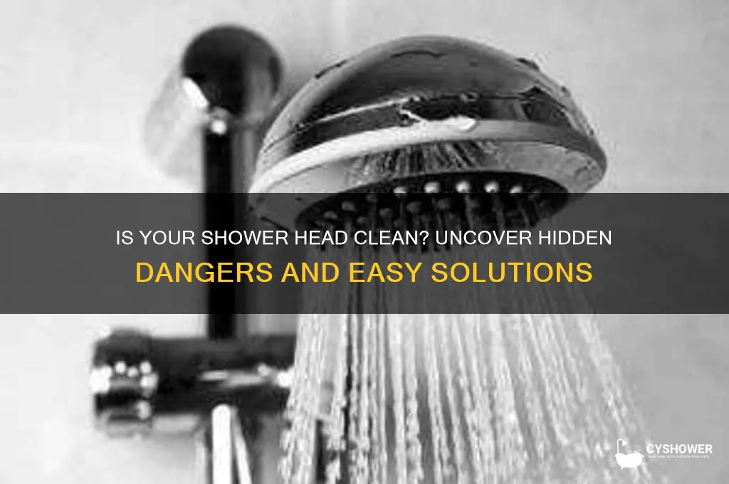 is shower head clean