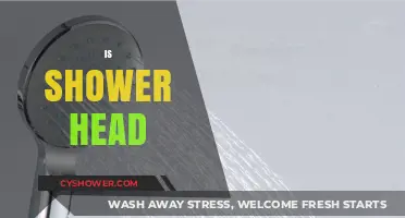 Is Your Shower Head Efficient? Tips for Choosing the Right One