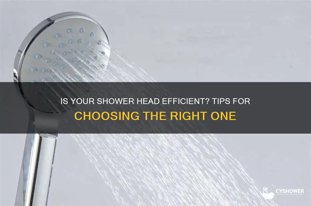 is shower head